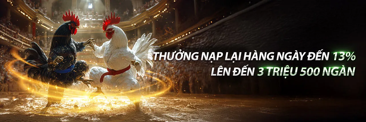 Đá gà trực tiếp Kwin 2026